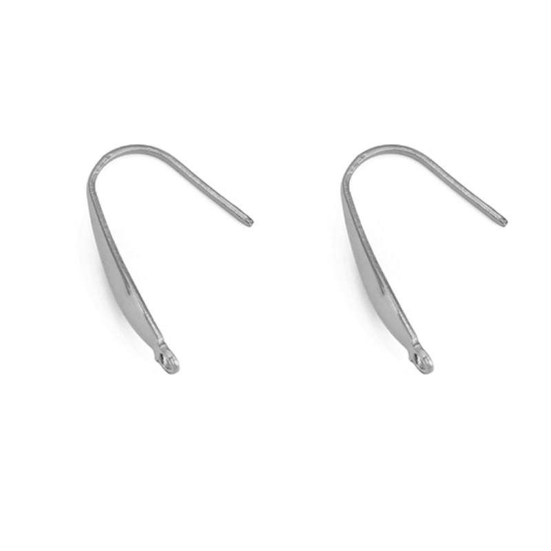 10 stks Nooit Vervagen Rvs Oor - Jewelry Making Earring Supplies recensie en prijs