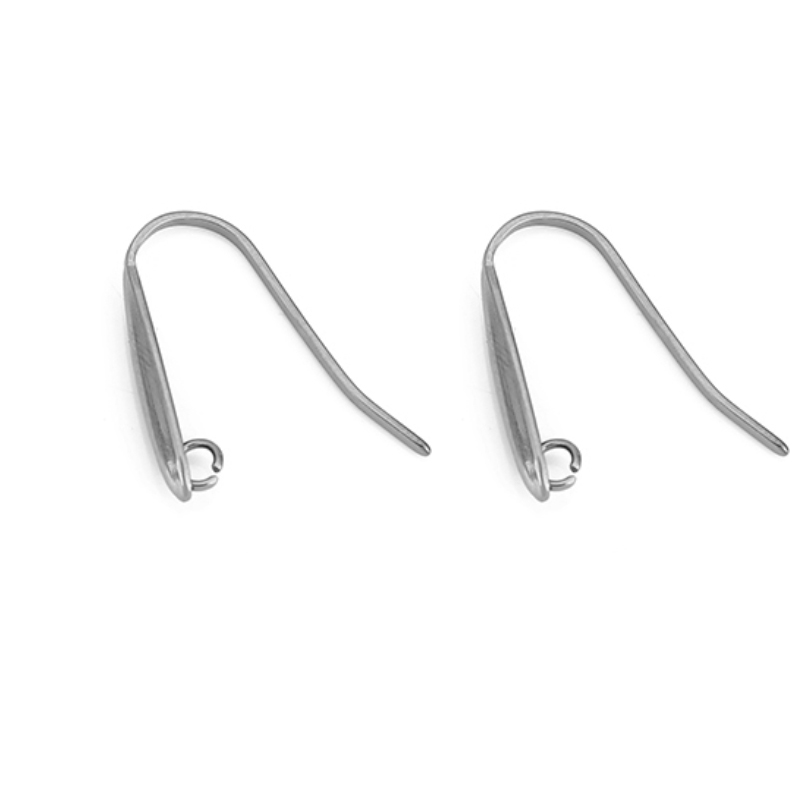10 stks Nooit Vervagen Rvs Oor - Jewelry Making Earring Supplies recensie en prijs
