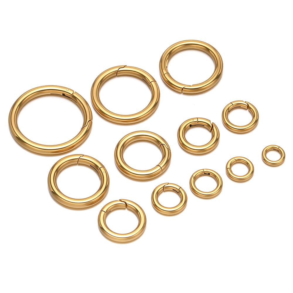 2 stks/partij Ronde Lente Slui - Jewelry Making Factory recensie en prijs