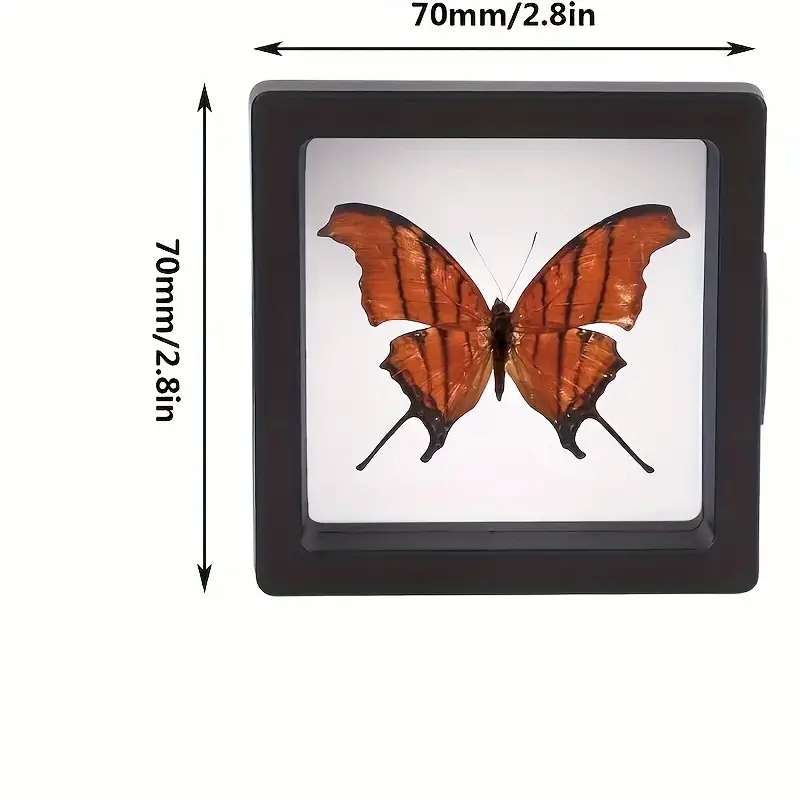 20 stuks Clearview 3D drijvend - Jewelry Making Box recensie en prijs